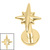 Titanium Internally Threaded Labrets 1.2mm - Titanium Astrid Star - SKU 74416