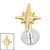 Titanium Internally Threaded Labrets 1.2mm - Titanium Astrid Star - SKU 74422