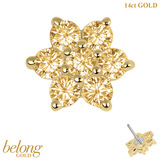belong 14ct Solid Gold Threadless (Bend fit) Claw Set CZ Jewelled Flower With 14k Solid Gold Threadless Labret / 1.0mm, 8mm / Champagne
