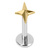 Titanium Threadless Labrets - Titanium (Bend-fit) Guiding Star 1.2mm, 6mm / Gold Titanium - alternative image