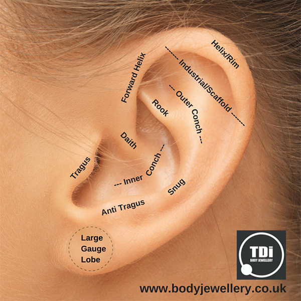 types of gauges ear