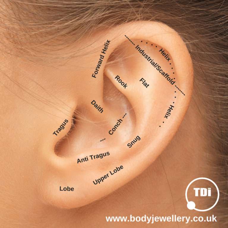 Ear Piercings and Body Piercing Jewellery TDi Body Jewellery Blog