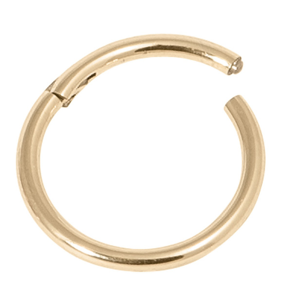 Zircon Titanium Hinged Segment Ring (Gold colour PVD) (Clicker)