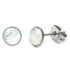 Steel Sparkle Earrings