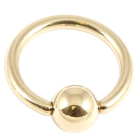 Zircon Steel Ball Closure Ring (BCR) (Gold colour)
