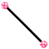 Bioflex Industrial Scaffold Barbells - Multi-Star