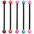 Bioflex Industrial Scaffold Barbells - Multi-Star