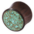 Organic Plug Sono Wood and Crushed Turquoise Stone (OG11)