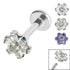 Titanium Internally Threaded Labrets 1.2mm - Titanium Claw Set Synth CZ 7 Jewelled Flower