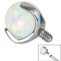 Titanium Claw Set Opal Ball for Internal Thread shafts in 1.6mm. Also fits Dermal Anchor