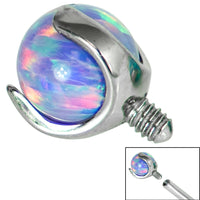 Titanium Claw Set Opal Ball for Internal Thread shafts in 1.6mm. Also fits Dermal Anchor