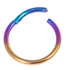 Titanium Hinged Clicker Ring 1.2 and 1.6mm Gauge