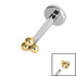 Titanium Internally Threaded Labrets 1.2mm - Titanium Asia Trinity