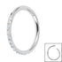 Titanium 1.2mm Pave Set Jewelled Edge Hinged Clicker Ring
