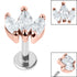 Titanium Internally Threaded Labrets 1.2mm - Steel Claw Set 3 CZ Jewel Marquise Fan