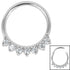 Steel Claw Set 7 Jewel Hinged Clicker Ring