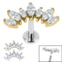 Titanium Internally Threaded Labrets 1.2mm - Titanium Claw Set 7 CZ Jewelled Marquise Crown