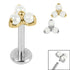 Titanium Internally Threaded Labrets 1.2mm - Titanium Claw Set Pearl Trinity