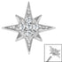 Steel Jewelled Large 8 point Star for Internal Thread shafts in 1.2mm
