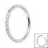 Titanium 1.2mm Pave Set Jewelled Edge Hinged Clicker Ring