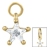 Gold Steel Claw Set Jewelled Star Charm