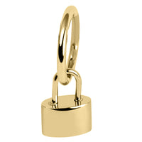 Titanium Hinged Clicker Ring with Titanium Padlock Charm
