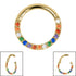 Titanium Pave Set Rainbow Eternity Hinged Clicker Ring