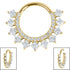 Titanium Verity Princess Jewelled Hinged Clicker Ring