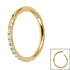 Gold Titanium 1.2mm Pave Set Jewelled Edge Hinged Clicker Ring
