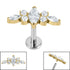 Titanium Internally Threaded Labrets 1.2mm - Titanium Claw Set Jewelled Tiara