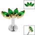 Titanium Internally Threaded Labrets 1.2mm - Gold Titanium Claw Set 4 CZ Jewel Marquise Fan