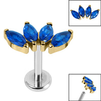 Titanium Internally Threaded Labrets 1.2mm - Gold Titanium Claw Set 4 CZ Jewel Marquise Fan