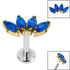 Titanium Internally Threaded Labrets 1.2mm - Gold Titanium Claw Set 4 CZ Jewel Marquise Fan