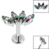 Titanium Internally Threaded Labrets 1.2mm - Titanium Claw Set 4 CZ Jewel Marquise Fan