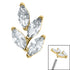 Titanium Claw Set Marquise Jewelled Leaf for Internal Thread Shafts in 1.2mm
