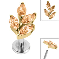 Titanium Internally Threaded Labrets 1.2mm - Gold Titanium Claw Set Marquise Jewelled Leaf
