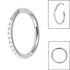Titanium Pearl Edge Hinged Clicker Ring