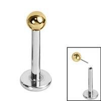 Titanium Threadless Labrets - Gold Titanium (Bend/Push fit) Balls