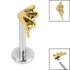Titanium Internally Threaded Labrets 1.2mm - Titanium Spider Web