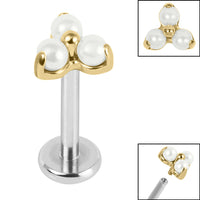 Titanium Internally Threaded Labrets 1.2mm - Titanium Claw Set Pearl Trinity