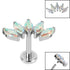 Titanium Internally Threaded Labrets 1.2mm - Titanium Claw Set 5 CZ Jewel Marquise Fan