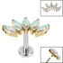 Titanium Internally Threaded Labrets 1.2mm - Gold Titanium Claw Set 5 CZ Jewel Marquise Fan