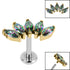 Titanium Internally Threaded Labrets 1.2mm - Gold Titanium Claw Set 5 CZ Jewel Marquise Fan