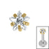 Titanium Claw Set CZ Jewelled Star for Internal Thread Shafts in 1.2mm