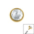 Titanium Jewelled Disk for Internal Thread shafts in 1.2mm
