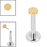 Titanium Threadless Labrets - Gold Titanium (Bend/Push fit) Disk