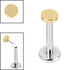 Titanium Threadless Labrets - Gold Titanium (Bend/Push fit) Disk