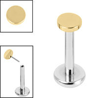 Titanium Threadless Labrets - Gold Titanium (Bend/Push fit) Disk