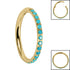 Titanium Pave Set Turquoise Edge Hinged Clicker Ring
