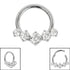 Titanium 5 Claw Set Jewel Hinged Clicker Ring